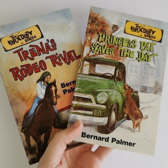 Bernard Palmer Set of 2 Paperback Bradley Series 1970s Vintage Christian Readers - Picture 1 of 8